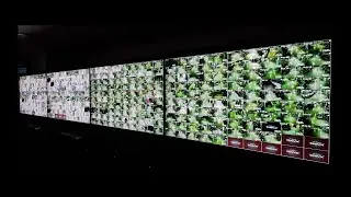 Establishment of DiveX's Distributed Integrated Monitoring System.