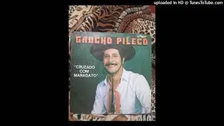 gaucho pileco cruzado com maragato xote letra do gaucho pileco (online-audio-converter.com)