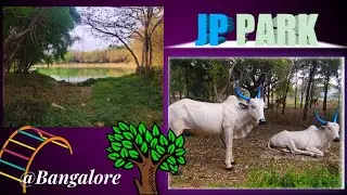 JP Park🌳Beautiful Place 🌻J P Park | Musical Fountain | Best Places to visit in Bangalore | Tamil