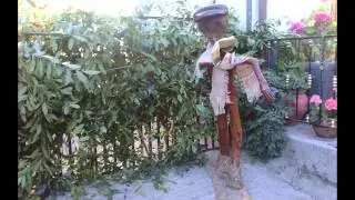 BARRIOPALACIO, un pueblo de leyendas, 2013