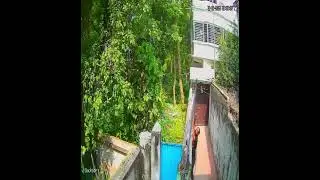 চোরে কারেন্টের তার চুরি করছে/guess the wire thief stealing the wire
