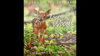 Children's Read Aloud.  Lost in the Woods