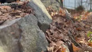 Land Based Learning