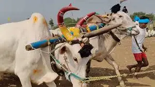మాచపురం గ్రామం||గిరక బండి పందెం|| 6వ జత వీరస్వామి గారు కోసిన గ్రామం 25-12-2025💥💥