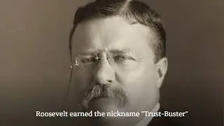 Theodore Roosevelt :Trust-Buster