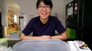 Activity: Toy Rescue ice cubes