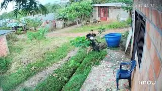 Motorcycle rider fails house ramp climb in Cartagena del Chair&aacute;, Colombia