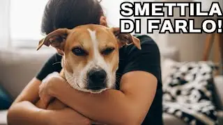 13 Things Dogs Hate That Humans Do