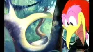 The Aracuan Song