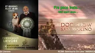 SEMINARIO ON LINE: AMERICAN STAFFORDSHIRE TERRIER con Piergiorgio Lievore