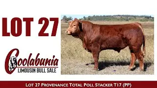 Lot 27 Provenance Total Poll Stacker T17 (PP)