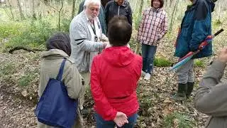 Pilze sammeln unter Korkeichen