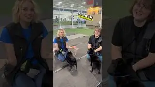 That&rsquo;s the WRONG breed!!