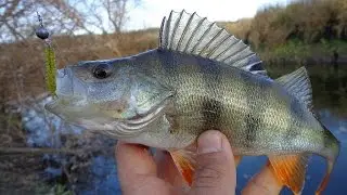 Ловля окуня на джиг приманки. Catching bass on jig.
