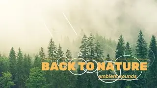 Relaxing Rain Sound to Sleep Instantly! #Rain #meditation #sleepmusic #deepsleep #relaxingsounds