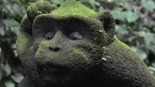 Champlung Sari Hotel Ubud Bali Indonesia