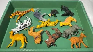 Игрушки для ферм и сафари: животные | Корова | Коза | Буйвол | Верблюд | Гну | Носорог | Горилла