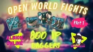 Pair Daggers | Open World | Albion Online