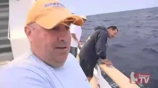 Special Assignment Pacific Long Range Fishing Update Feb 6