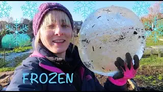 Freezing Temperatures At The Plot & Not All Of The Dahlias Survived- ALLOTMENT LIFE VLOG 47