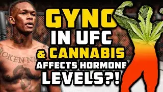 Gyno In The UFC & How Cannabis Actually Affects Hormone Levels
