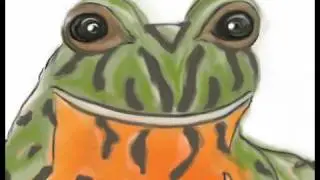 Simon The Fire-Bellied Toad