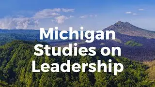 Michigan Studies on Leadership (Employee vs production oriented)