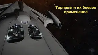 Elite Dangerous/Гайд/торпеды и их применение