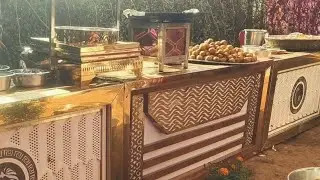 The best quality, catering services, management and new trends tiger theme buffet led counter 