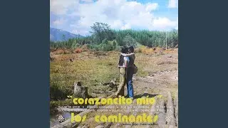 Te Equivcaste