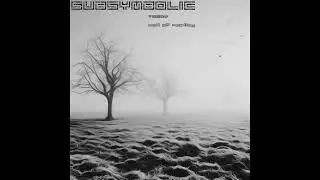 TvSkY - The Violet Fields [SubSymbolic Records] [Deep, Dub, Techno]