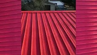 Free and Low Cost Animal Clinic Receives New Roof Donation