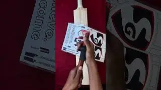 Sg cricket bat | How to apply stickers on bat | custom-made cricket bats |