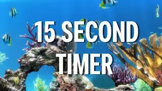 15 Second Timer Reef