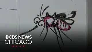 Summer interns helping Will County track mosquitos to test for West Nile virus