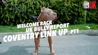 UK BULLY REPORT-Dog bully link up at Coventry 2022 !!!