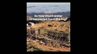 World's largest fog harvester produces water from fog.