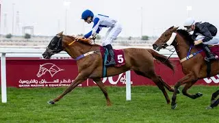 RM 19   Al Uqda Race 2  - Lusail Cup