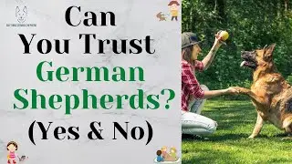 Can You Trust German Shepherds? (Yes & No)