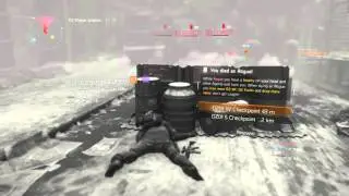 The Division Beta Gameplay (DZ)