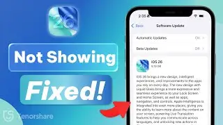 iOS 26 Update Not Showing on iPhone 11/13 - Fix it and Update iOS 26 Official Now
