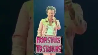 Harry styles reading fans sign ( from stairs to stadium)