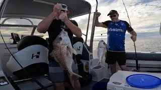 BAGGED OUT FIRST DRIFT! CALOUNDRA SNAPPER FISHING
