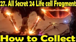 All 24 life cell fragment and rewarded life cell , Ori and will of wisp