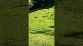 Lush green himachal! #greenery #nature #himachal #views #hp #videos #village #shorts #shortsvideo
