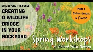 Wildlife Bridges: Part 1 Native Grasses & Flowers
