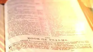 The Holy Bible - Psalm Chapter 16 ESV