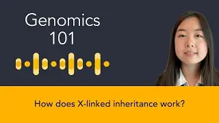 Nicole Chai: How does X-linked inheritance work?