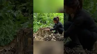 Stealth Build! She Creates a Fully Hidden Forest Bunker #survivaltips #bushcraft #smartbuild