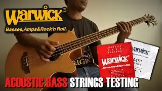 S L A P P the B A S S with @FramusWarwickOfficial Acoustic bass strings #chamisbass #basstabs #warwick